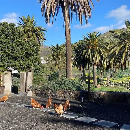 别墅 Casita Palmera, Country Home, Haria, Lanzarote 海瑞亚